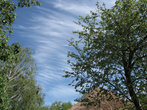 Территория усадьбы Есениных. Дикая яблоня, крыша избы-времянки и высокое голубое небо.