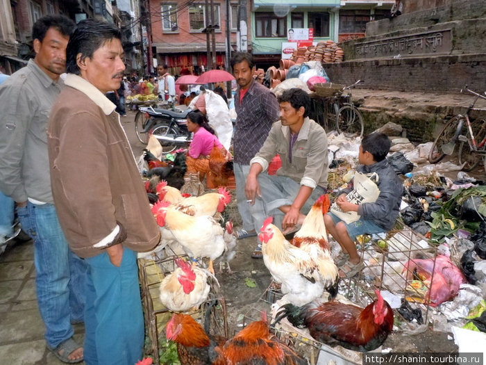Торговцы курами Катманду, Непал