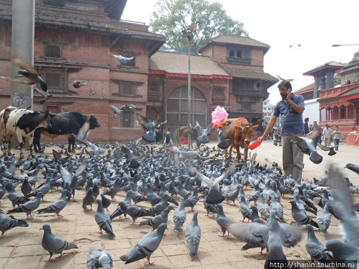 Площадь Дурбар Катманду, Непал