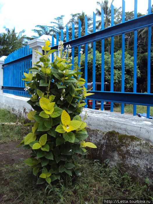 Ограда автостанции Энде, остров Флорес, Индонезия
