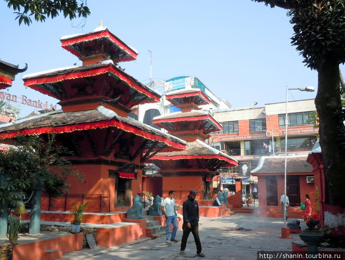 На территории храма Катманду, Непал