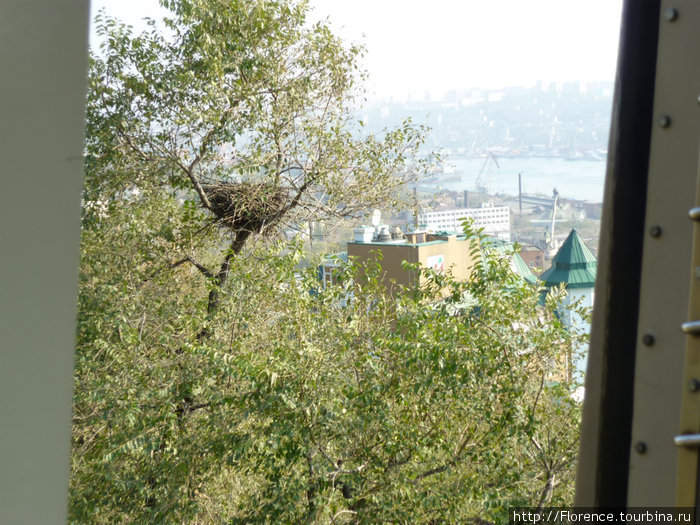 Вид из кабинки фуникулера Владивосток, Россия