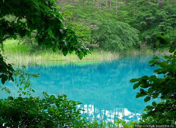 Пятицветные болота Госикинума на высокогорье Бандай-когэн Айзувакамацу, Япония