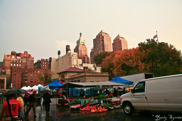 Незнакомый Нью-Йорк: Зеленый Рынок Нью-Йорк, CША