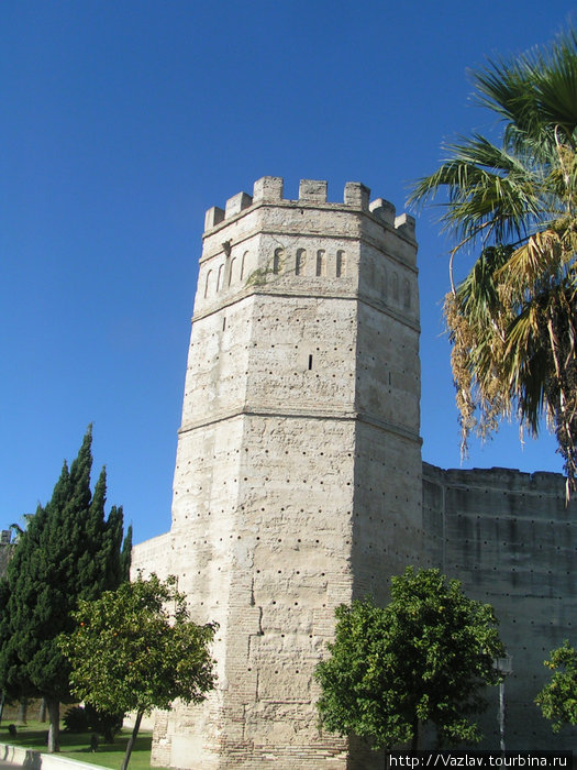 Крепость ещё вполне крепка Херес-де-ла-Фронтера, Испания