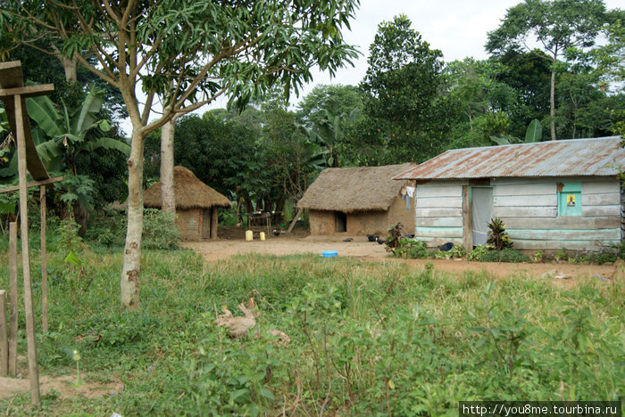 домики местных жителей Острова Сесе, Уганда