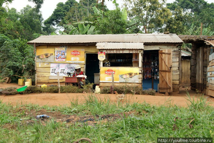 магазинчик Острова Сесе, Уганда