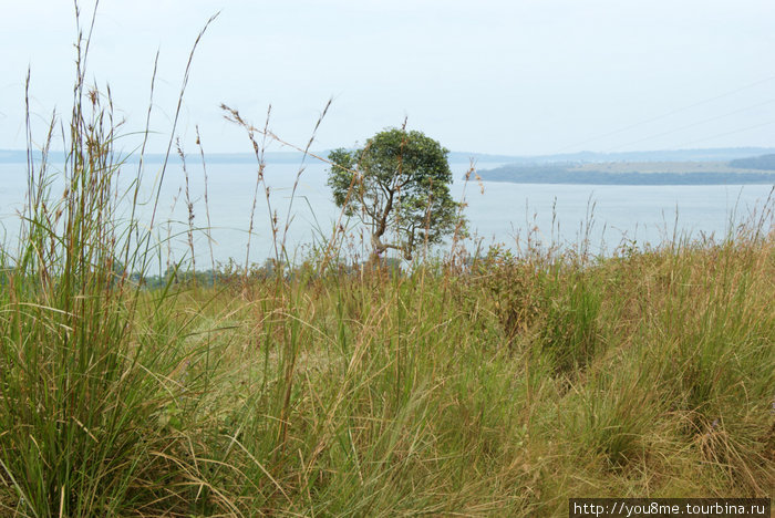о-ва Ссесе на озере Виктория, Африка Острова Сесе, Уганда