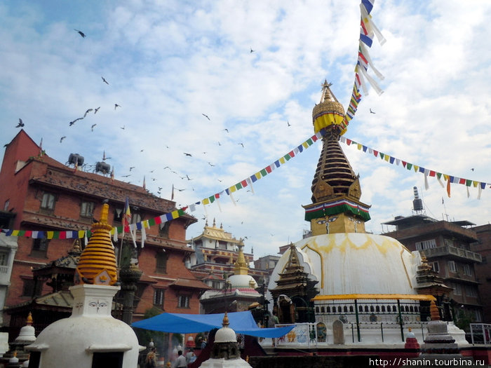 Птицы над пагодой КАтесимбху Катманду, Непал