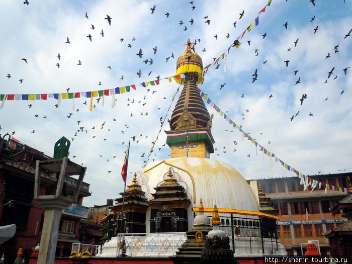 Птицы над ступой Катесимбху Катманду, Непал