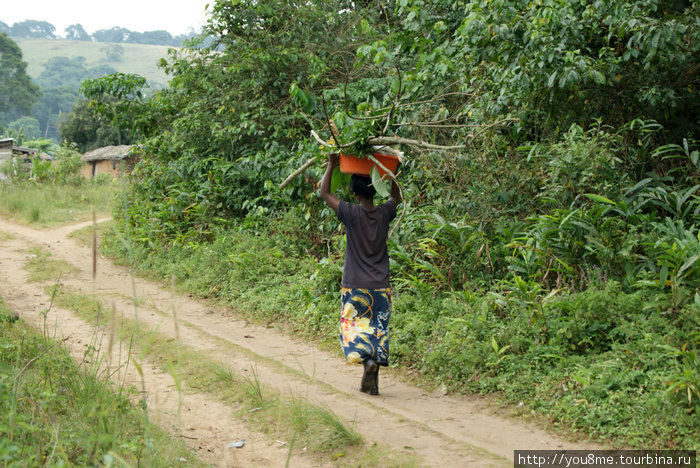 все женщины носят поклажу на голове, из-за этого позвоночник изгибается (в молодости красиво, а в старости вместо попы полка) Острова Сесе, Уганда
