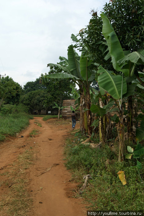 дорога вдоль деревни Острова Сесе, Уганда