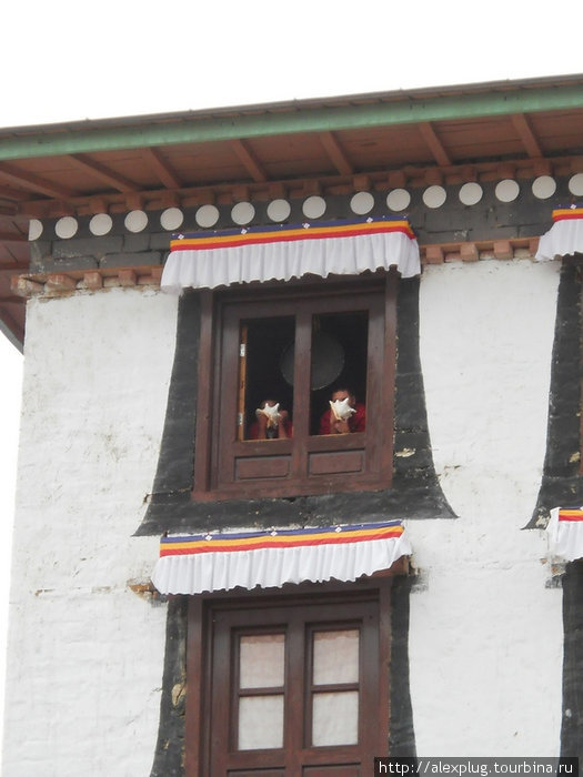 Монахи трубят — видать 15:00... Тенгбоче, Непал