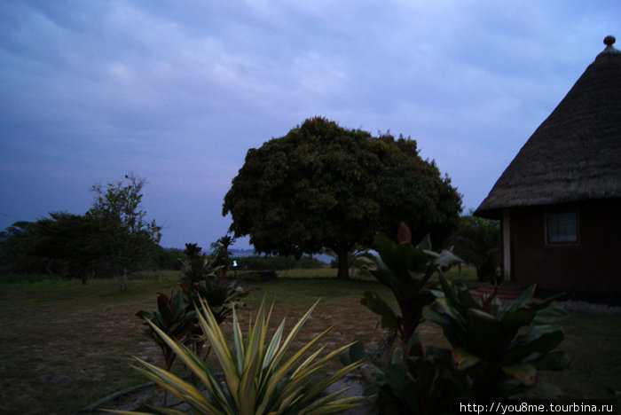 ночью Острова Сесе, Уганда