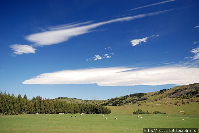 Страна длинного белого облака Новая Зеландия