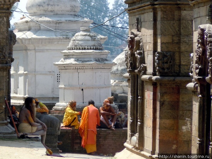 Сидху у храма Шивы Катманду, Непал