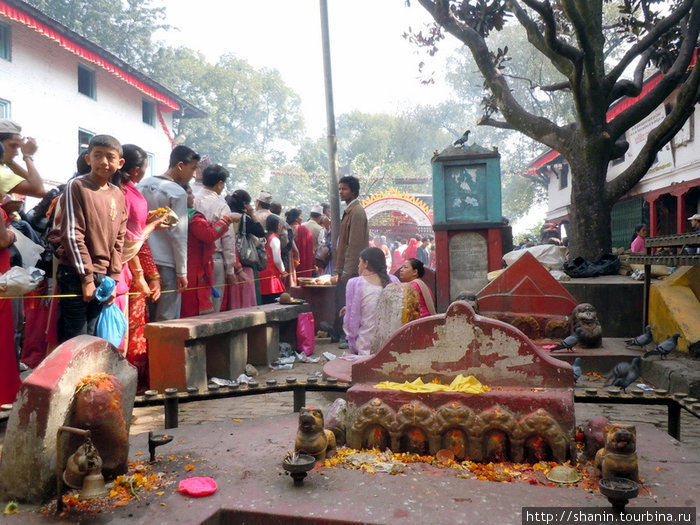 Дурга Пуджа в храме Шри Лумадхи Бхадракали Катманду, Непал