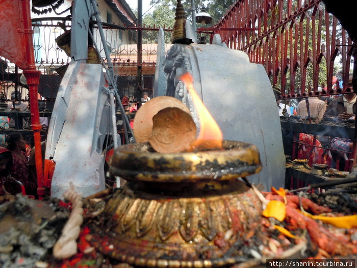 Дурга Пуджа в храме Шри Лумадхи Бхадракали Катманду, Непал