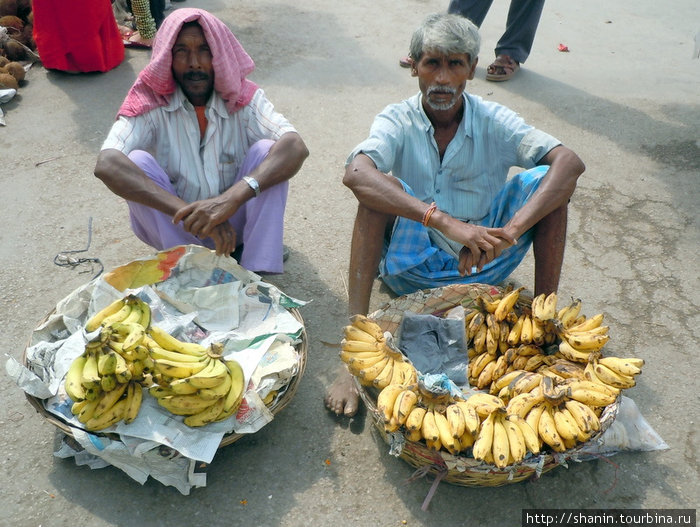 Торговцы бананами Катманду, Непал