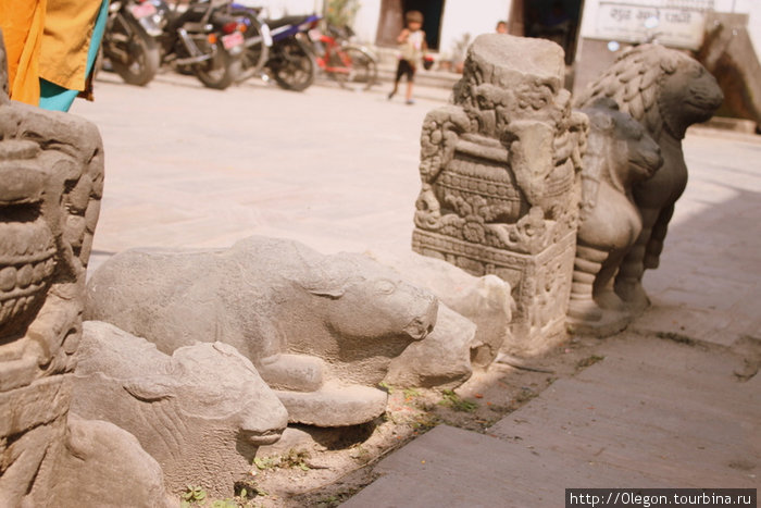 Священное ожидание смерти Катманду, Непал