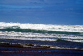 Волны на Тасмановом море