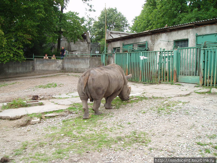 Калининградский зоопарк Калининград, Россия