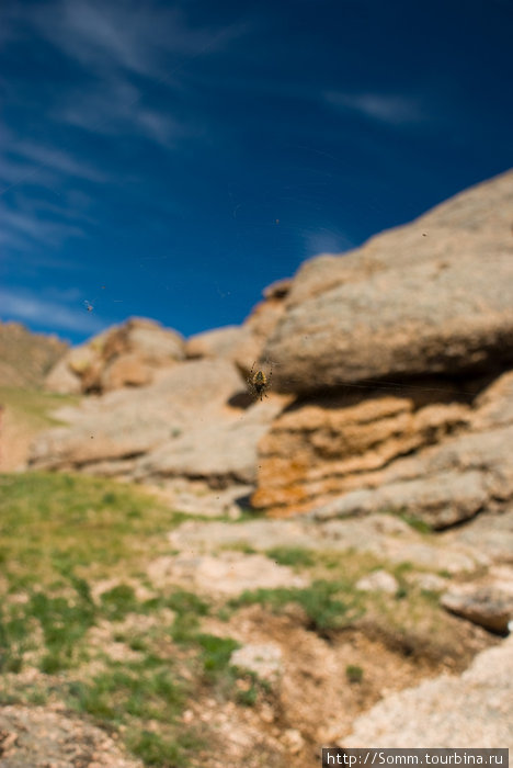 Паучишка явно не умеет ценить окружающие его красоты. Горхи-Тэрэлж Национальный Парк, Монголия