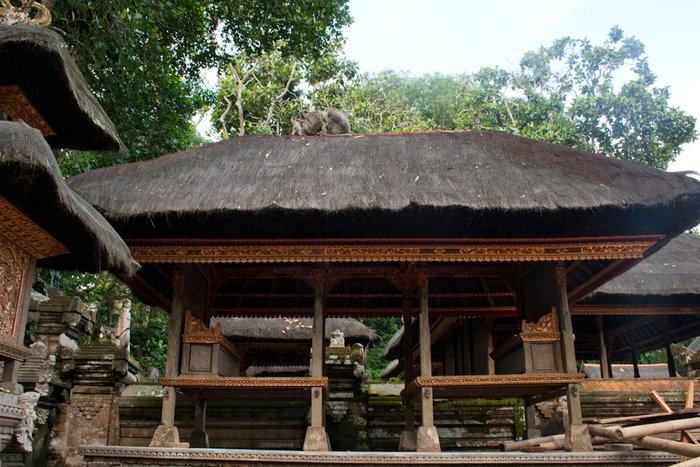 Лес обезьян Убуд, Индонезия