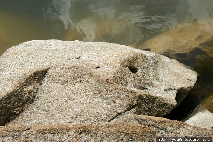 с этого камня удобно прыгать в воду Рвензори Маунтинс Национальный Парк, Уганда