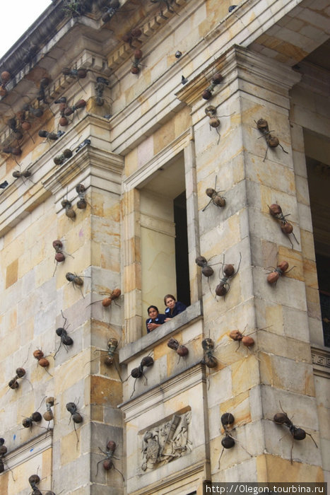 Осторожно- заползут в окно Богота, Колумбия