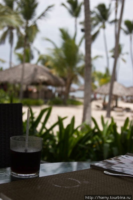 Прямо рядом с пляжем — бар. Можно заказать себе любой коктейль и взять его с собой на пляж. Мы в основном пили кубу либру, пину коладу и блю гавайи. Доминиканская Республика