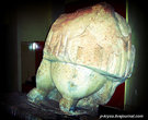 Оригинал части статуи  Богини плодородия, найденной в храме Таршин, в Археологическом музее в Валлетте