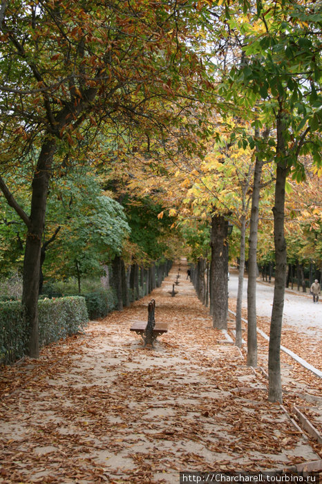 Осенняя пора - очей очарованье (Осенний Ретиро) Мадрид, Испания
