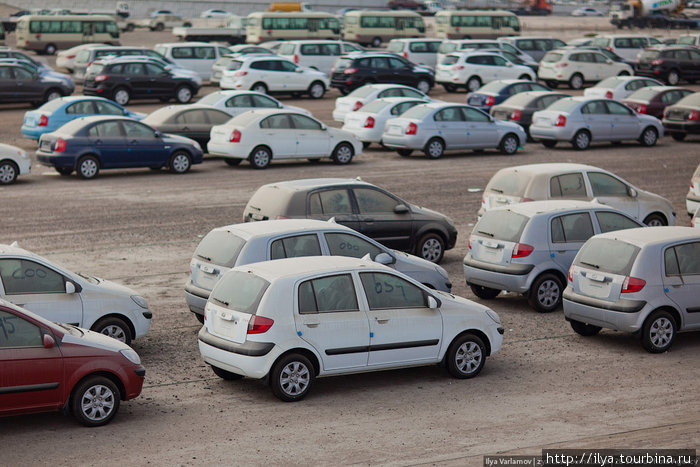 Машина в Эмиратах — нужна как воздух, расстояния очень большие, а общественные транспорт развит слабо. На фото — стоянка новых автомобилей в одном из Эмиратов. ОАЭ