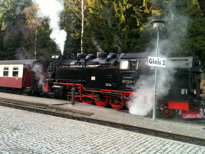  Brockenbahn — единственный вид транспорта, которым можно пользоваться в Гарце. Въезд в национальный парк на машинах запрещен, а вот на поезде можно подняться на самую вершину Гарца. Ширке, Германия