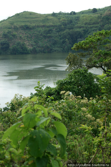 озеро с зеленой водой Рвензори Маунтинс Национальный Парк, Уганда