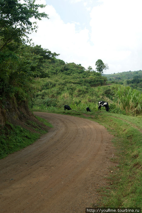 горная дорога Рвензори Маунтинс Национальный Парк, Уганда