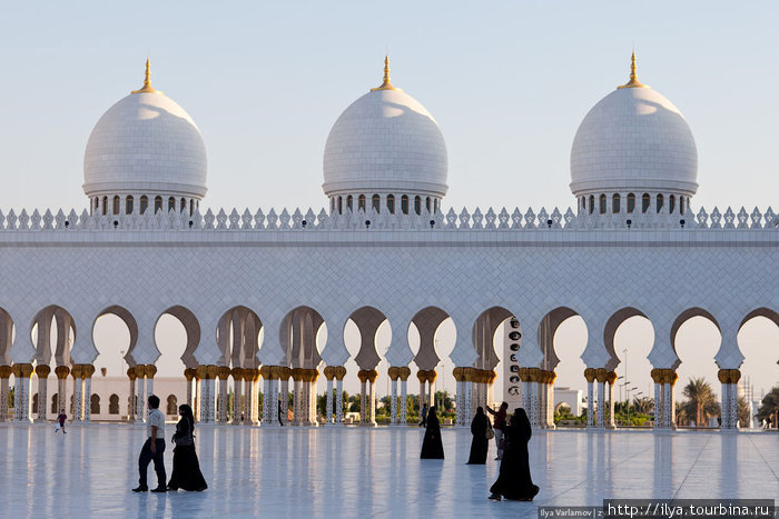 80 куполов, 1096 колонн + 96 колонн внутри главного молельного зала. Абу-Даби, ОАЭ