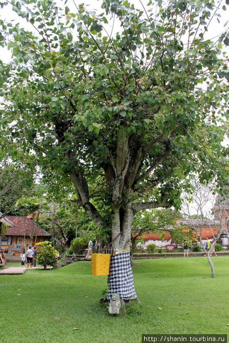 Таман Аюн - прекрасный сад Убуд, Индонезия