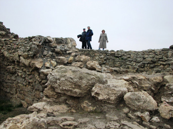 Раскопки Танаиса. Танаис (археологический заповедник), Россия