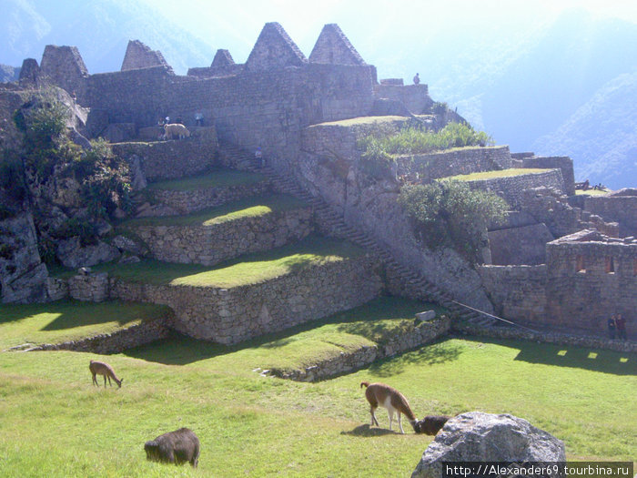 Мачу Пикчу Мачу-Пикчу, Перу Мачу Пикчу Мачу-Пикчу, Перу