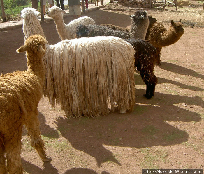 Тропа инков 2. Регион Куско, Перу Тропа инков 2. Регион Куско, Перу