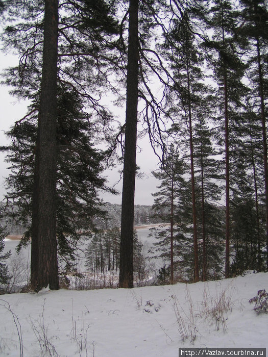 Берег-бережок Юва, Финляндия