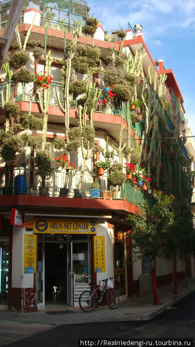 Цветочная феерия Барселона, Испания