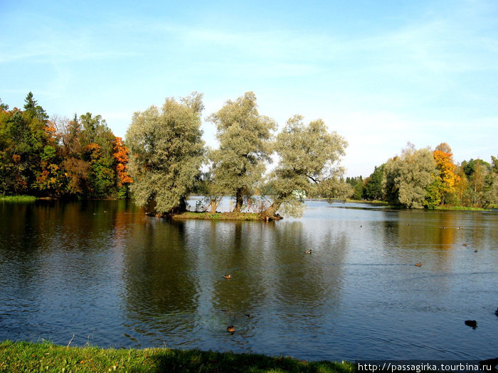 Осень в Гатчинском парке. Гатчина, Россия