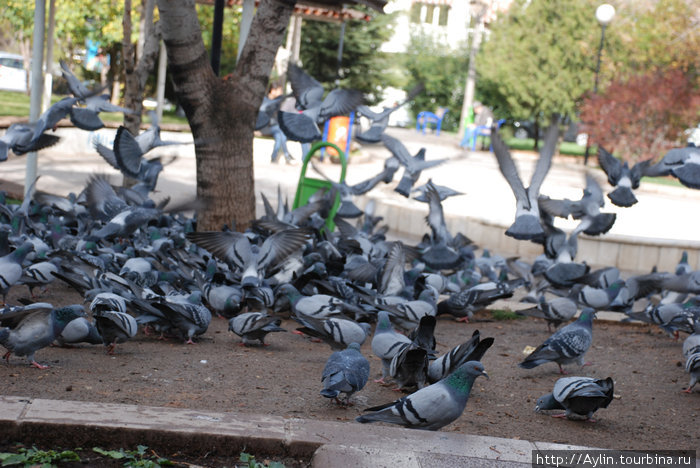 Анкара: совершенно официальная столица Турции Анкара, Турция