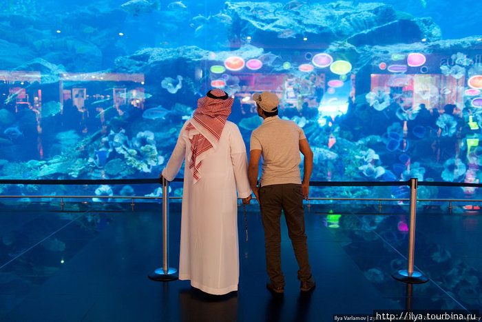 26 февраля 2010 года стекло аквариума треснуло и торговый центр быстро затопило водой. Ни одна рыбка не пострадала. Дубай, ОАЭ