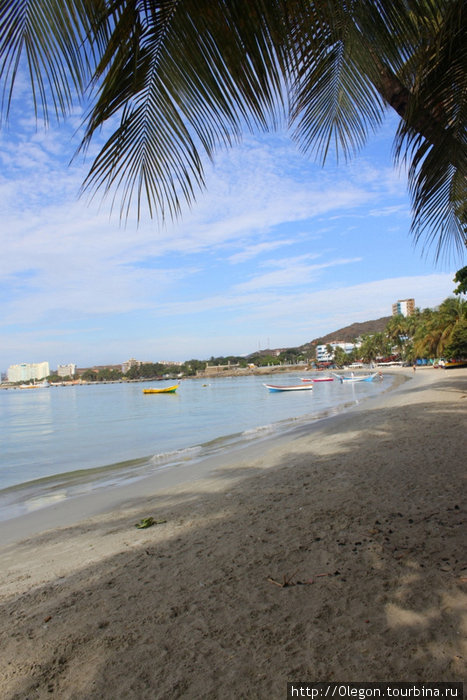 Пляж с песочком и пальмами Пампатар, Венесуэла