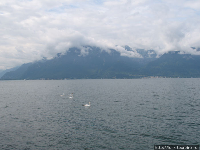 Веве. Виды на Женевское озеро Веве, Швейцария