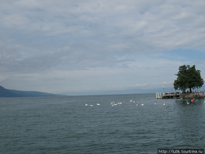 Веве. Виды на Женевское озеро Веве, Швейцария